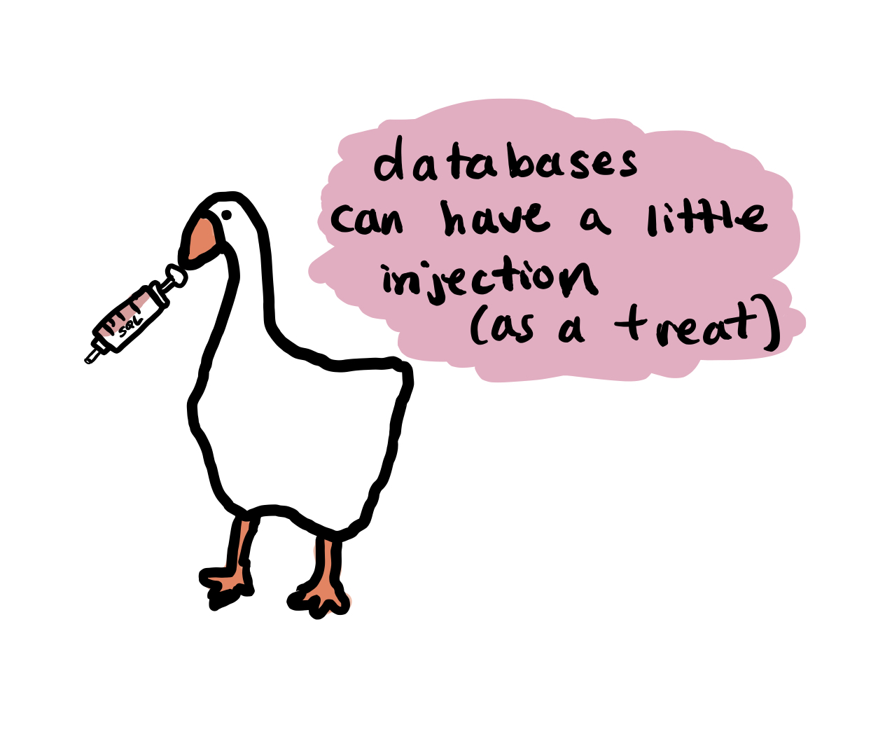 Image of a goose saying databases can have a little injection as a treat